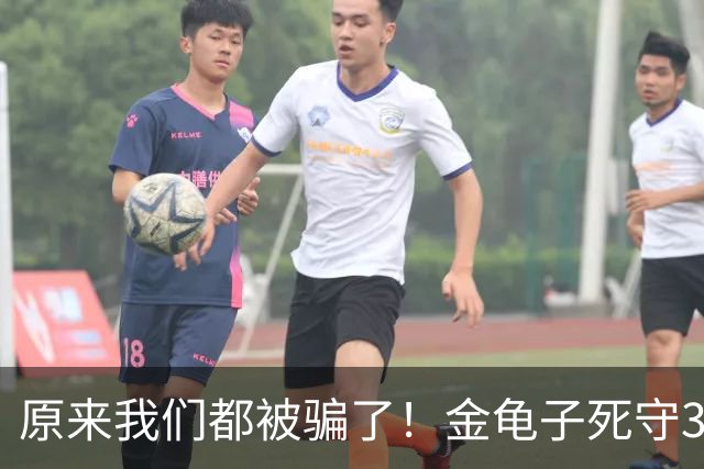 原来我们都被骗了！金龟子死守30年锅盖头，远远没有想的那么简单